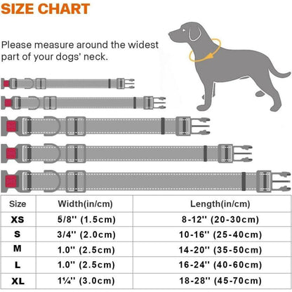 Hundehalsband Neopren Gepolstert Verstellbar Reflektierend S Hot Pink