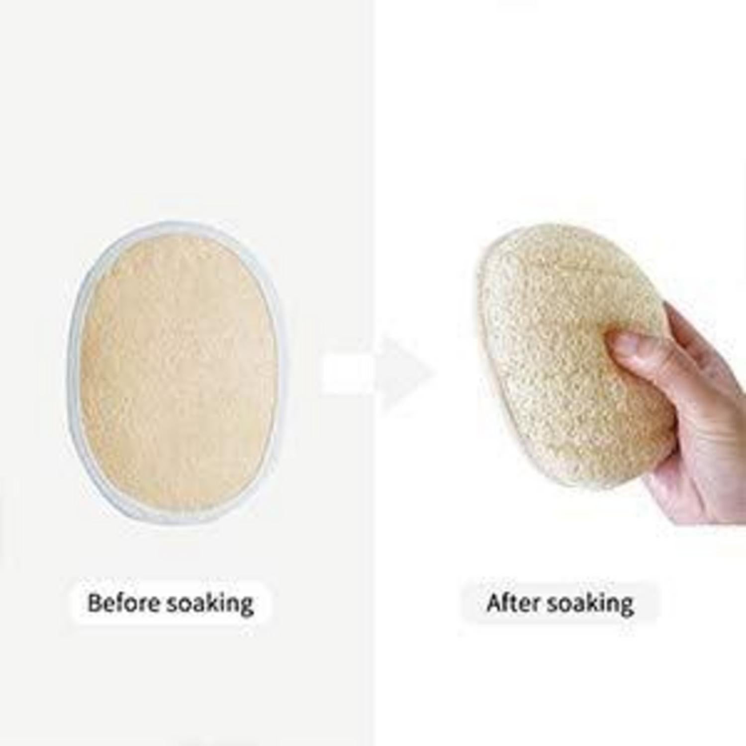 Duschbürste Peeling Massage Langgriff Naturborsten Luffa