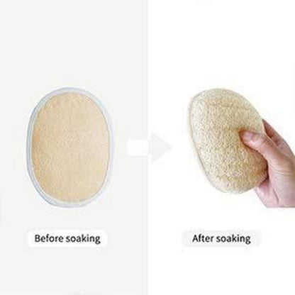 Duschbürste Peeling Massage Langgriff Naturborsten Luffa