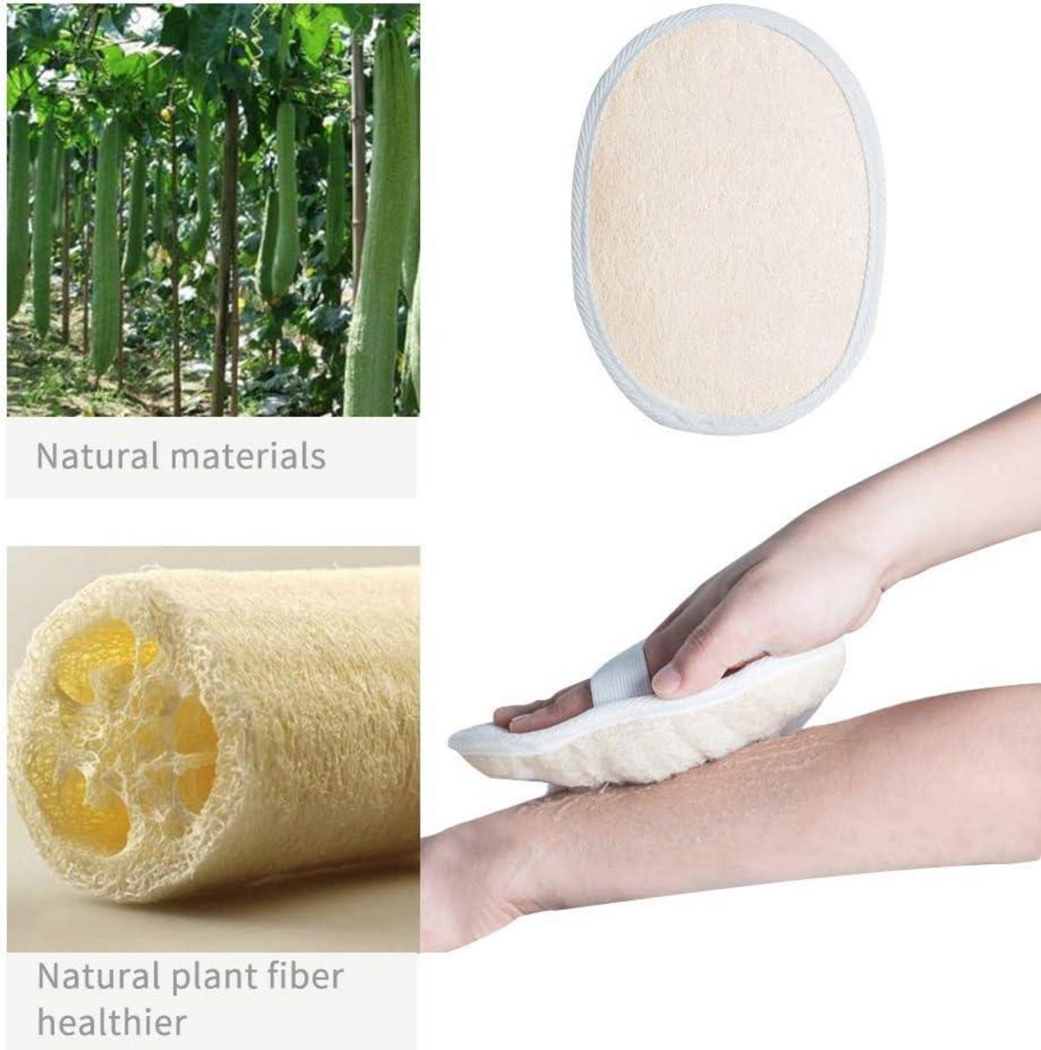 Duschbürste Naturborsten Holz Langgriff Peeling Massage Luffa