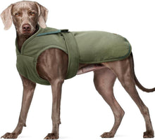Hundemantel Reflektierend Fleece Wintermantel Wasserdicht XS-3XL Green