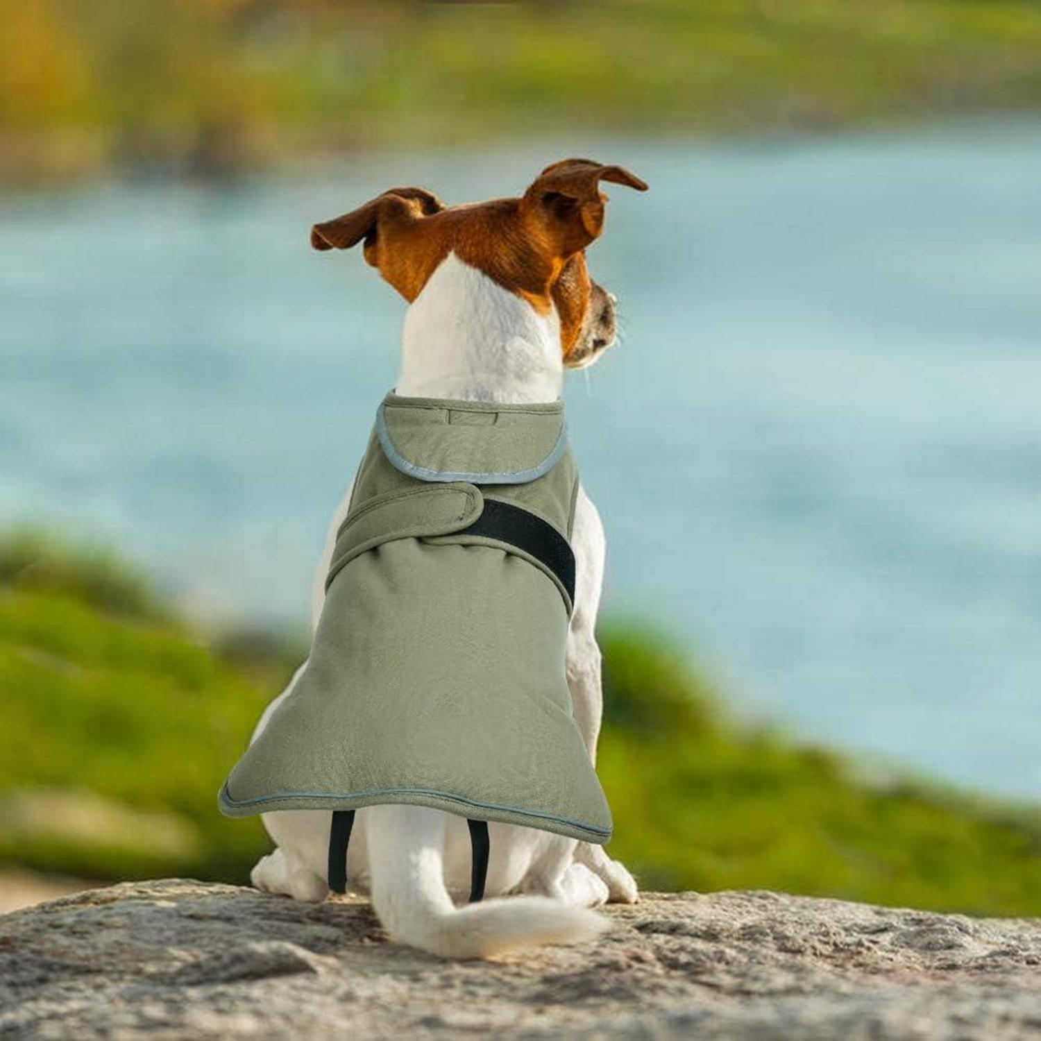 Warmer Hundemantel Reflektierend Fleecejacke Wasserdicht Grün XS-3XL