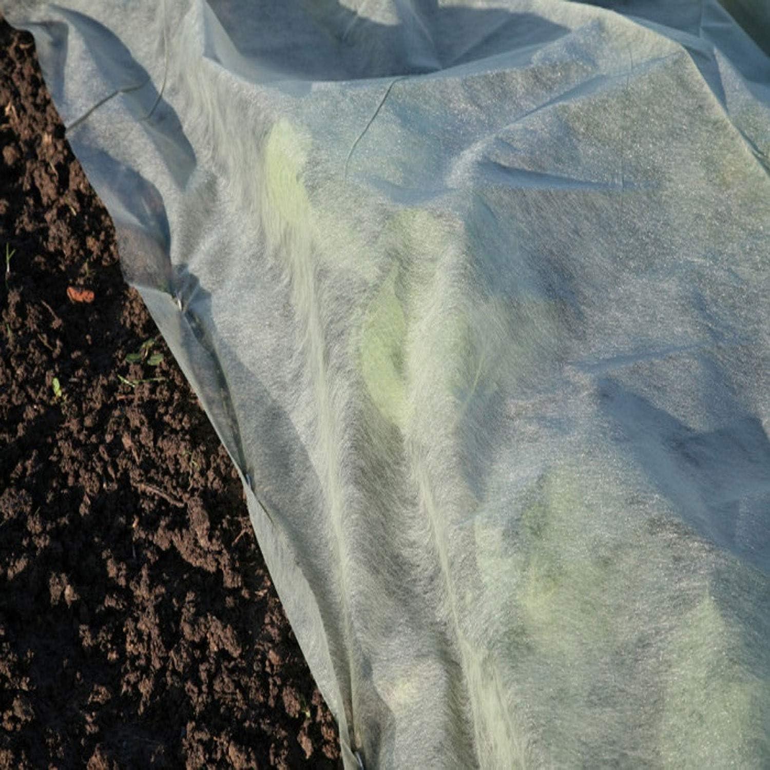 Wintervlies Pflanzen 2x10M Schutzvlies Gartenvlies Frostschutz Wind Kälte