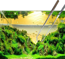 Aquarien Pinzette Set Gerade und Gebogen Rostfreier Stahl