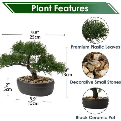Kunstbonsai Zeder Schwarz Keramik-Übertopf 25 x 23 cm