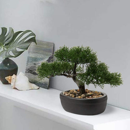 Kunstbonsai Zeder Kunstpflanze mit Keramik-Übertopf Schwarz 25 x 23 cm