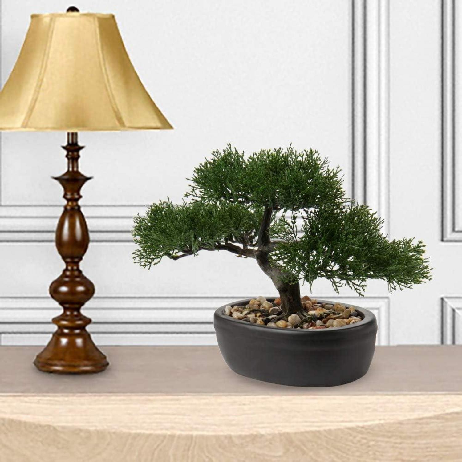 Kunstbonsai Zeder Künstliche Pflanze Bonsai Podocarpus mit