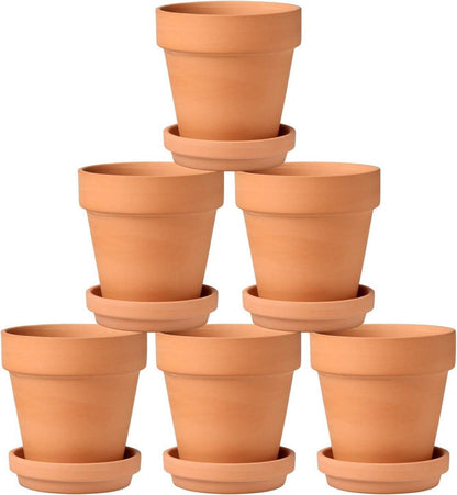 6er Set Terrakotta Pflanztöpfe mit Unterteller 10x10 cm Sukkulenten