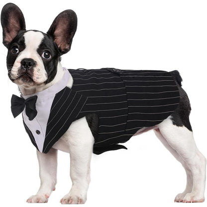 Hund Smoking Anzug Bandana Set Hochzeit Halloween Größe