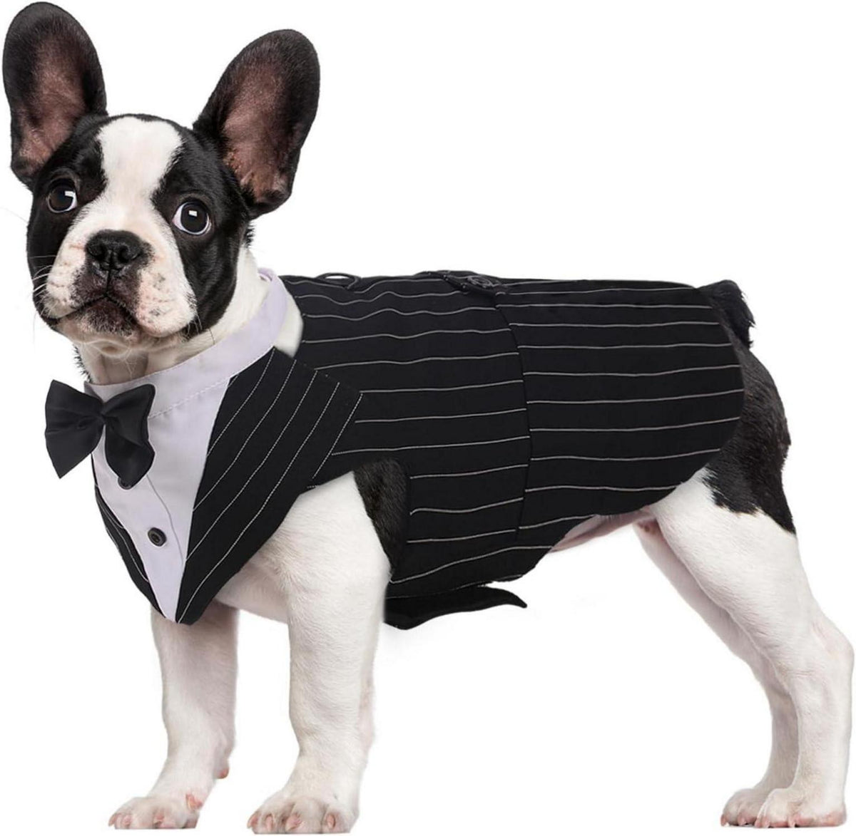 Hunde Smoking Anzug mit Bandana Set für Hochzeit & Party