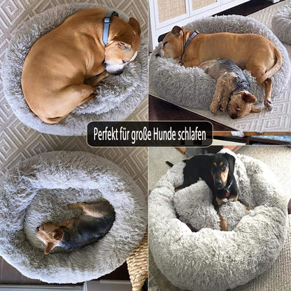 Orthopädisches Hundebett XXL – Waschbar & Kuschelig