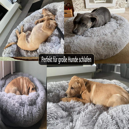 Orthopädisches Hundebett XXL – Waschbar & Kuschelig