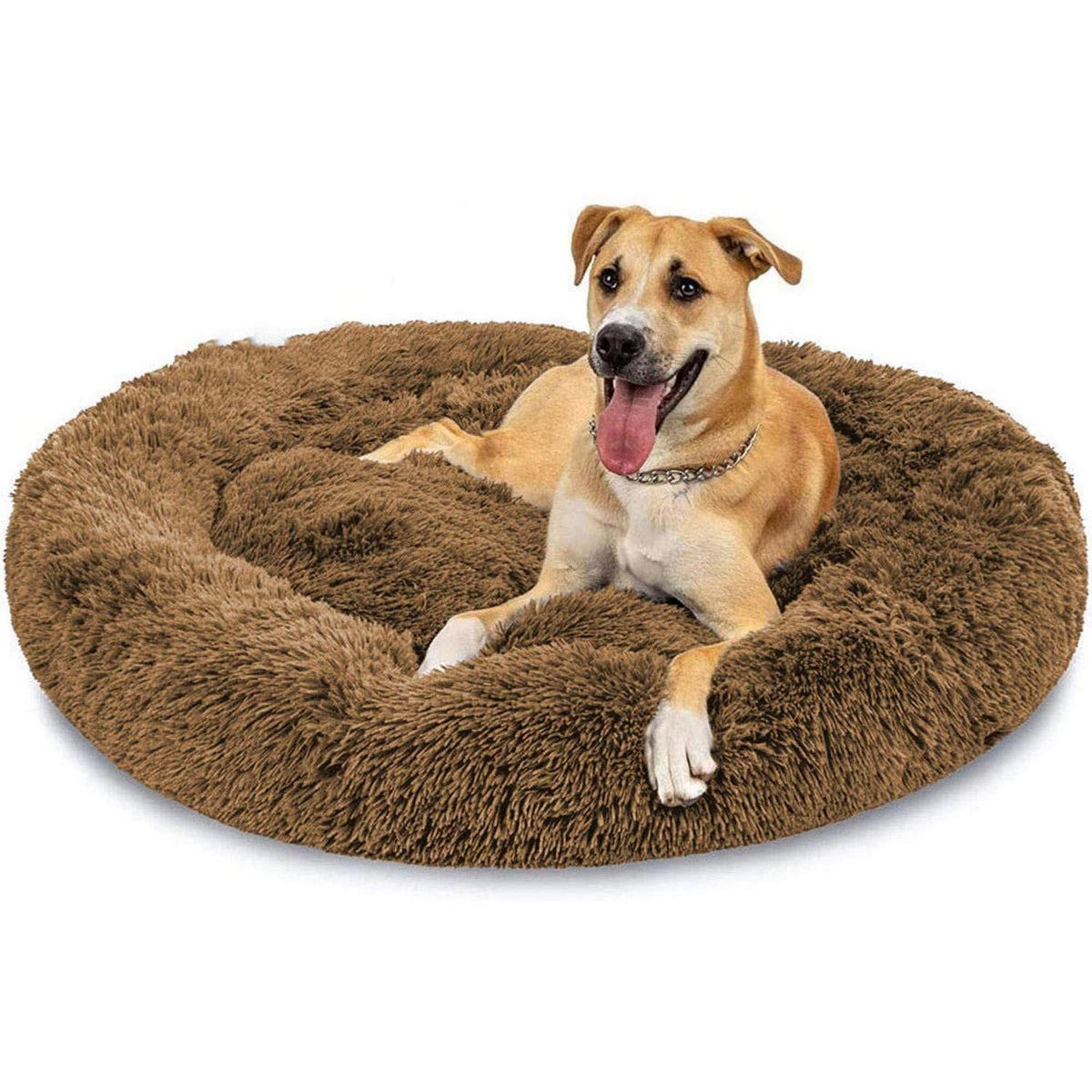 Orthopädisches Hundebett XXXL – Waschbar & Kuschelig