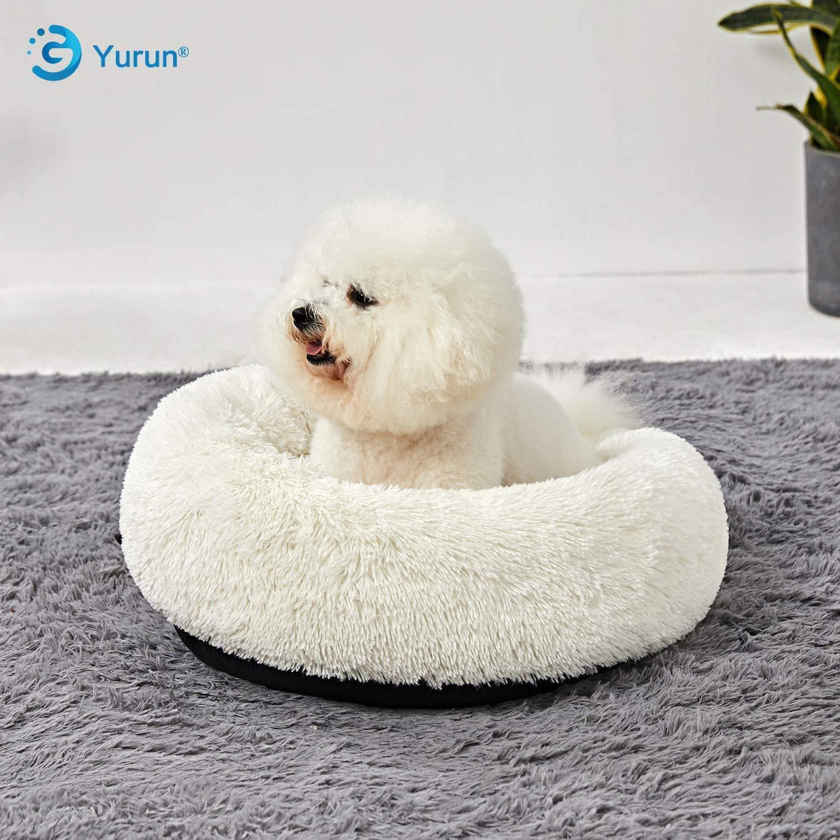 Rundes Hundebett Donut – Weiches Kissen für Hunde & Katzen, Weiß 90x90cm