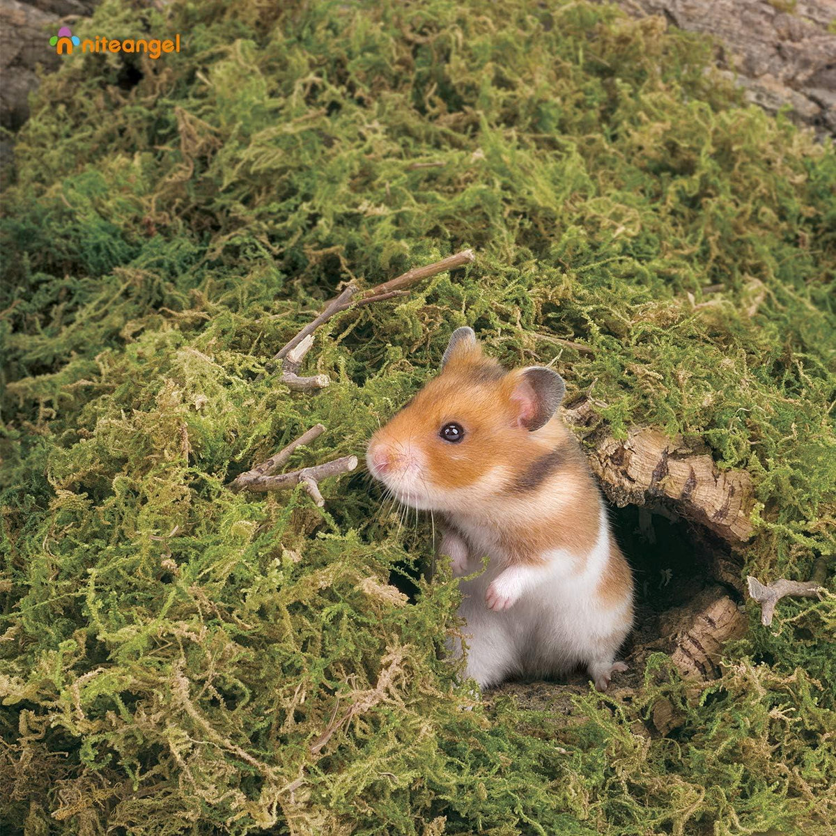 Natur-Moosstreu für Hamster und Reptilien 5L