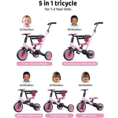 5-in-1 Laufrad & Dreirad für Kinder ab 1 Jahr, Rose Pink