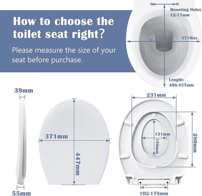 Toilettendeckel mit Absenkautomatik und Magnetischer