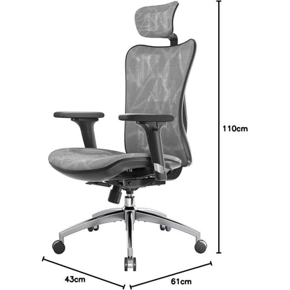 Ergonomischer Bürostuhl mit 3D-Armlehnen und Lendenstütze (Grau)