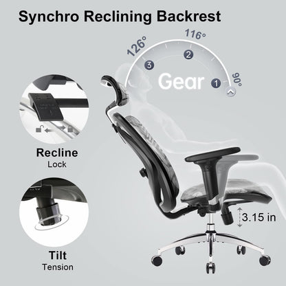 Ergonomischer Bürostuhl mit 3D-Armlehnen und Lendenstütze (Grau)
