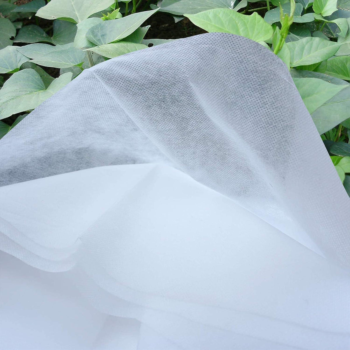 Wintervlies Pflanzenschutz 30g/m² 1,6mx6m Frostschutz