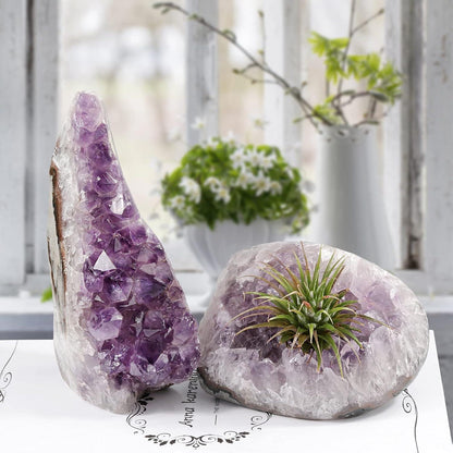 Natürlicher Amethyst Kristall Druse Stein Cluster Quarz Crystal 600g-700g