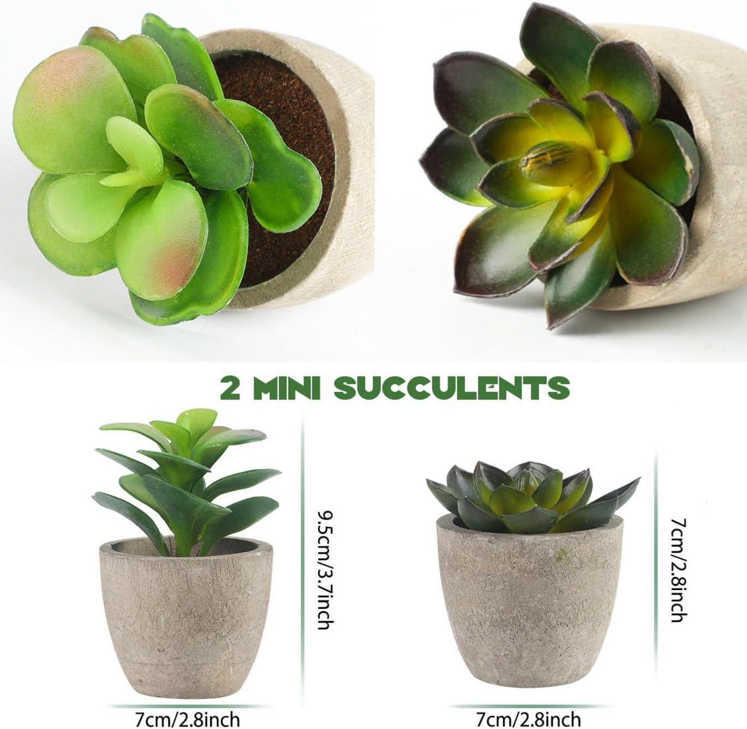 Künstliche Pflanzen Set Eukalyptus Rosmarin Sukkulenten Topf Deko