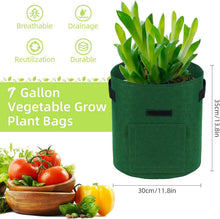 Potato Growing Bags, 5er Pack 7 Gallonen Gemüse Pflanzsäcke
