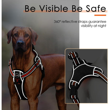 ThinkPet No-Pull Ausbruchsicheres Reflektierendes