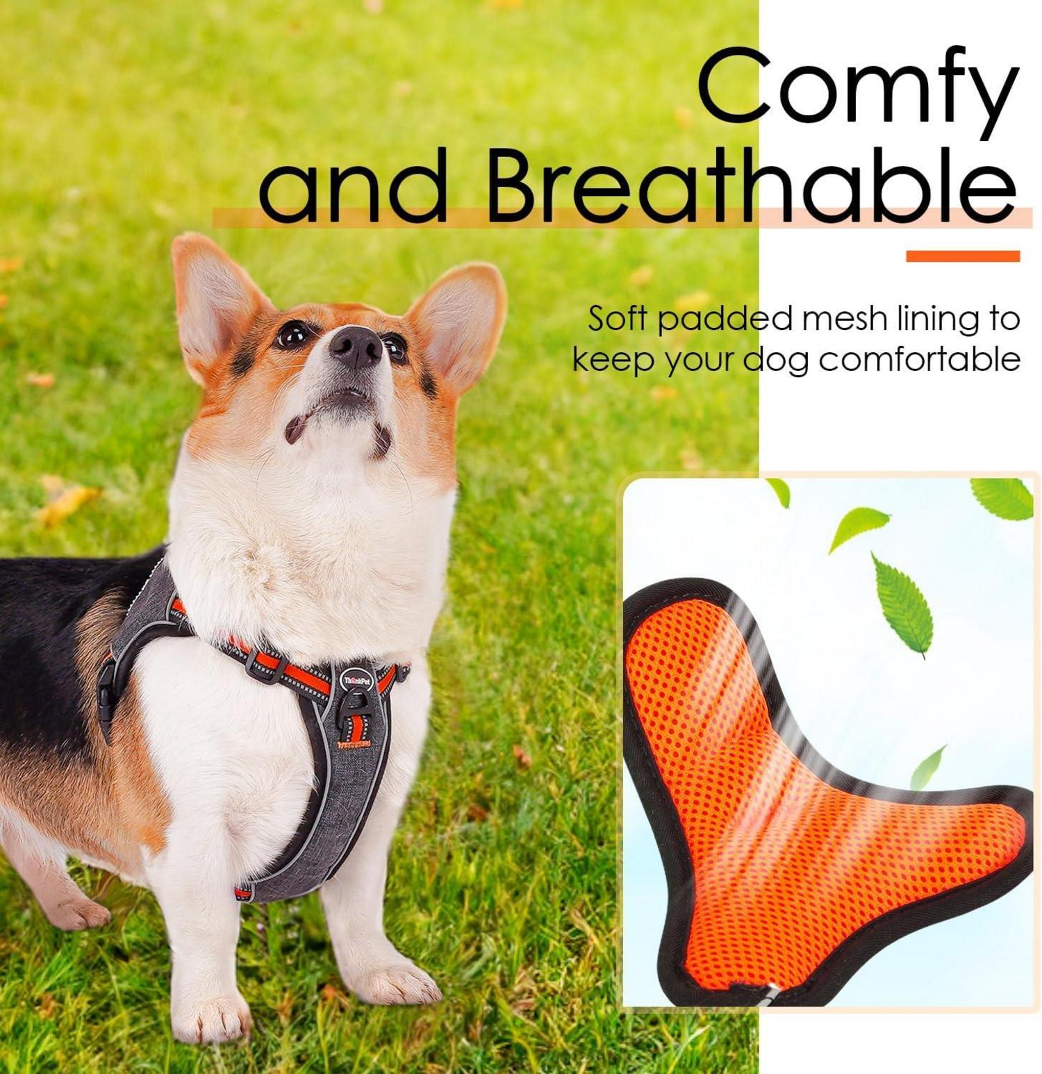 ThinkPet No-Pull Hundegeschirr Reflektierend Atmungsaktiv Orange L