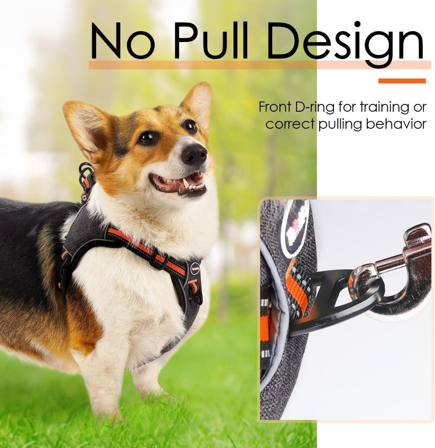 No-Pull Ausbruchsicheres Reflektierendes Hundegeschirr Orange S