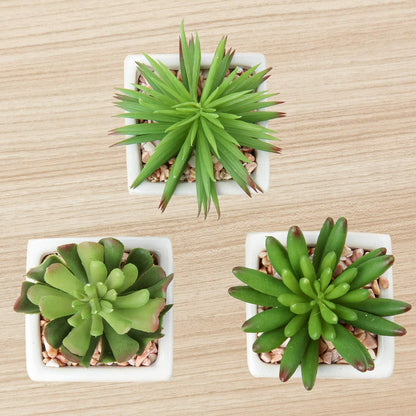 Künstliche Sukkulenten Set Zimmerpflanzen Deko 10-14cm im