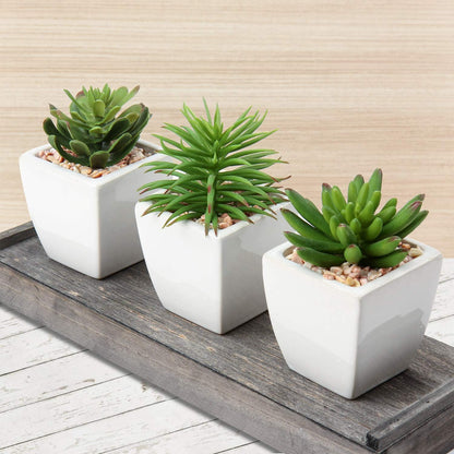 Künstliche Sukkulenten Set Zimmerpflanzen Deko 10-14cm im