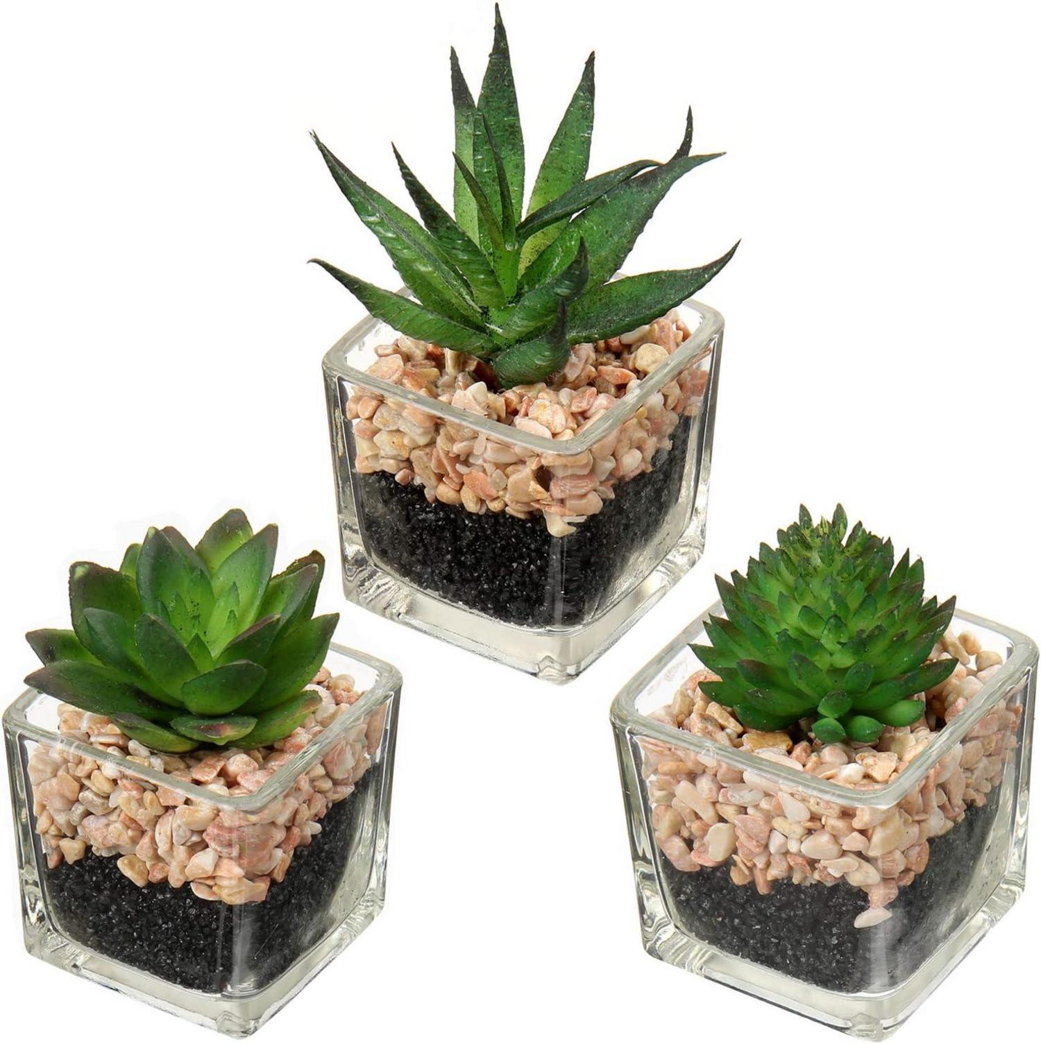 Kunstpflanze Sukkulente Dekoration 10,5cm Glastopf 3er Set