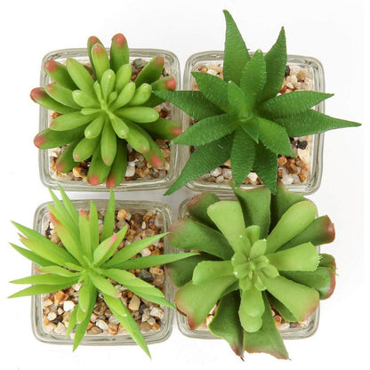 Künstliche Sukkulenten Pflanzen Set im Glastopf, 10.5cm