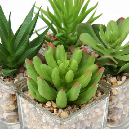 Künstliche Sukkulenten Deko Pflanzen 10,5cm 4er Set in Glastopf