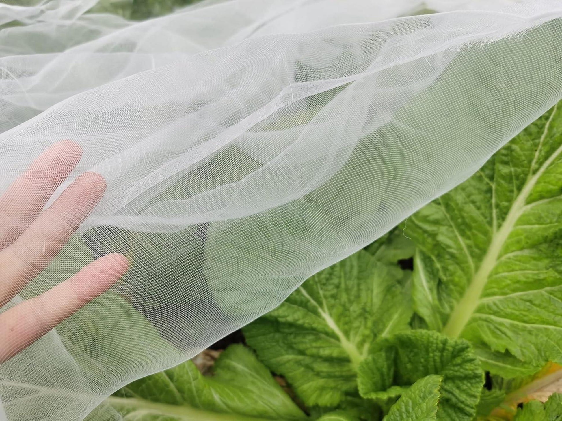 Gemüsenetz Gartennetz Insektenschutznetz Maschenweite 0.8-1mm Mücke