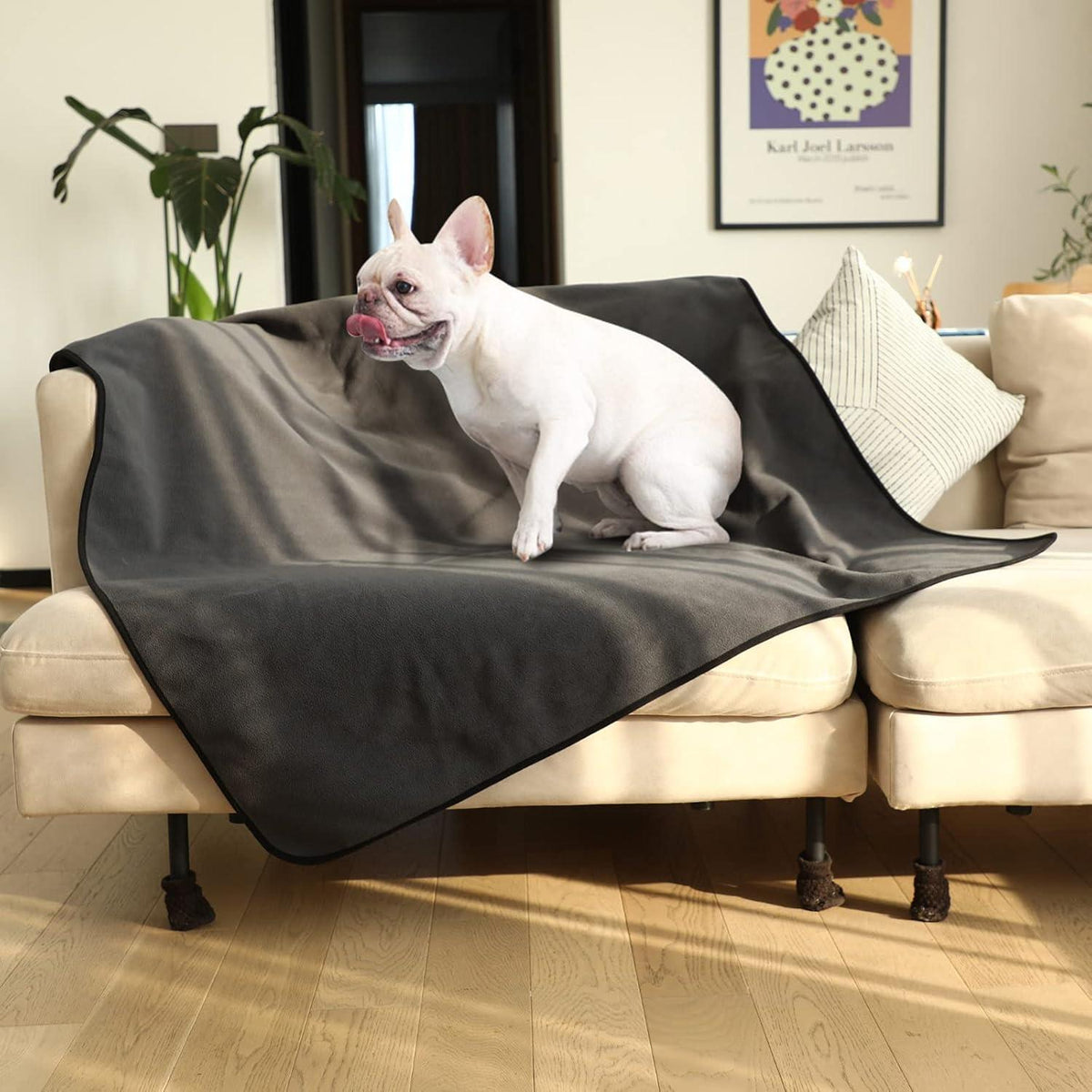 Wasserdichte Hundedecke 152x127cm für Haustiere, Sofa, Bett, Autositz