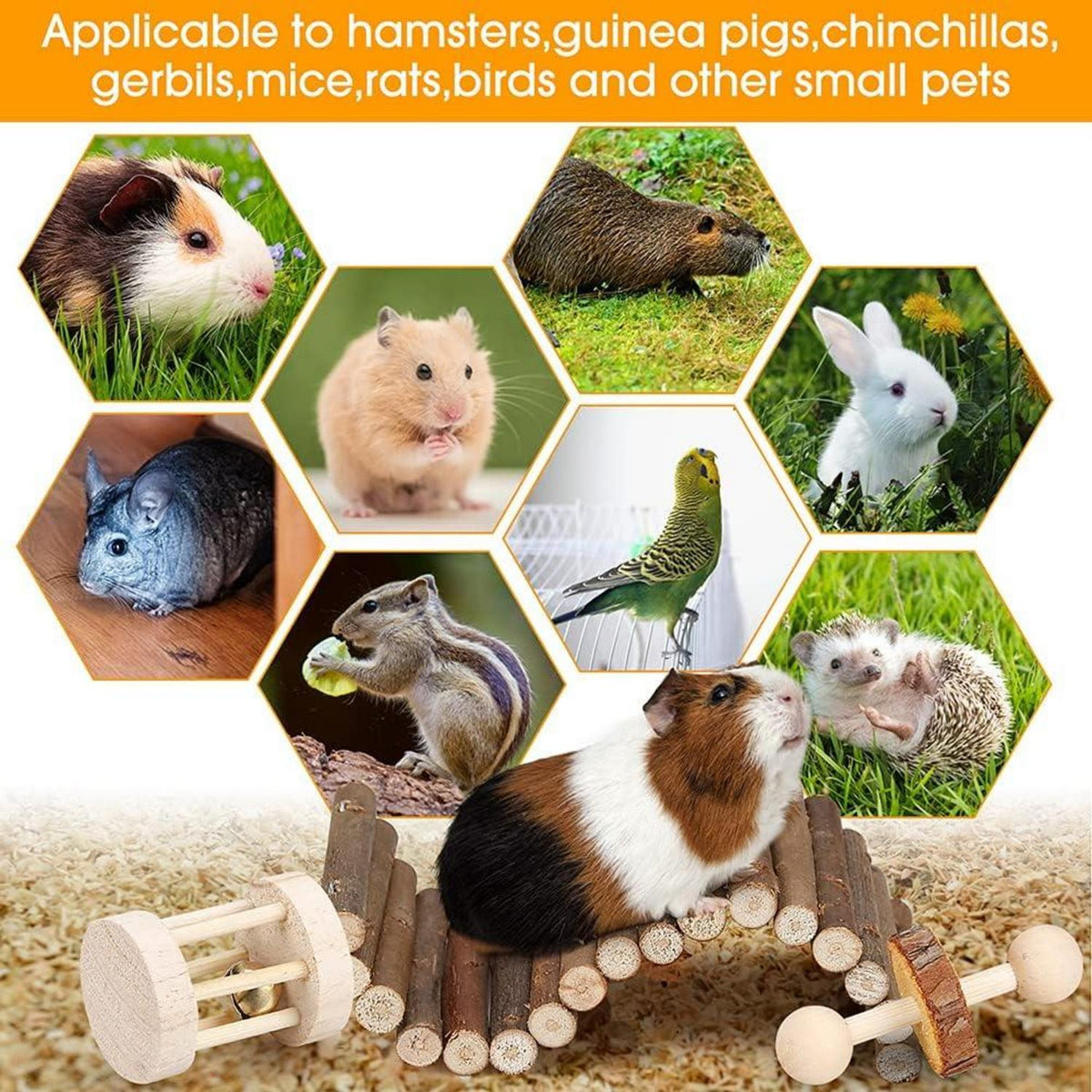 Hamster-Kauspielzeug-Set - Molarspielzeug für Nagetiere, Zahnpflege, Holzzubehör