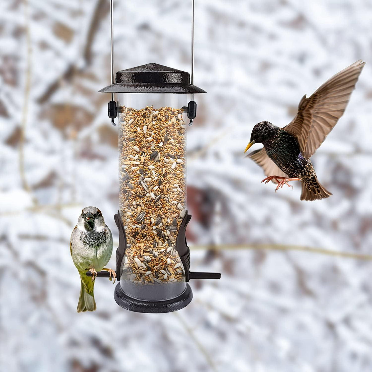 Futterspender Edelstahl für Wildvögel 2er Set Kaffee