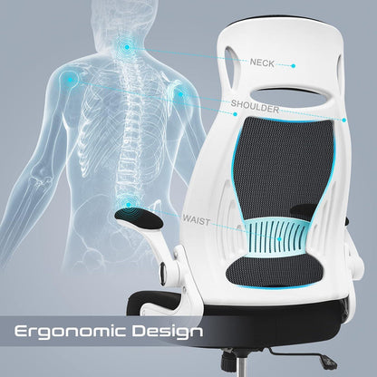 Ergonomischer Bürostuhl mit Armlehnen und Lendenwirbelstütze