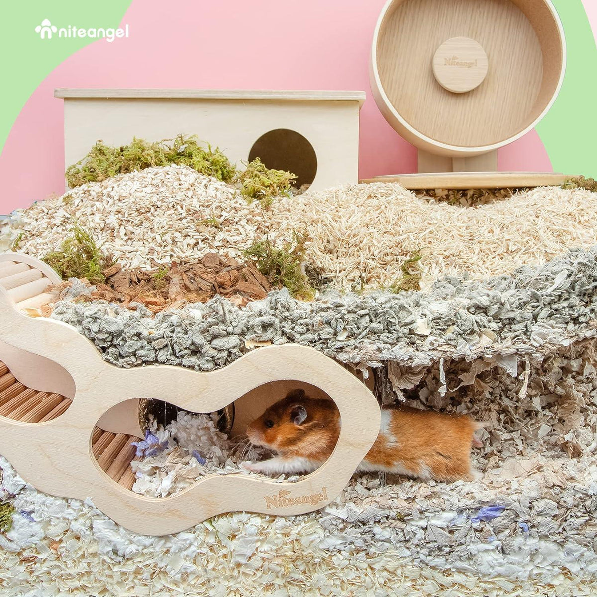Niteangel Hamsterhaus mit Kletterleiter für Hamster und Rennmäuse