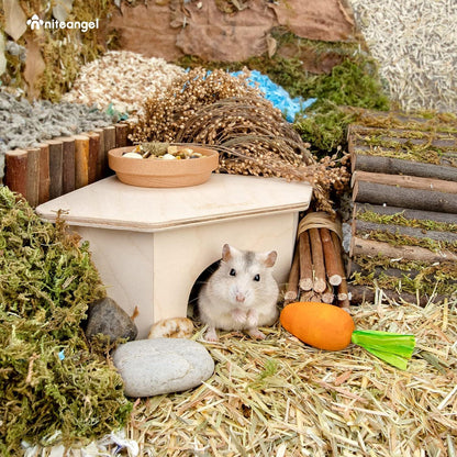 Niteangel Birkenkammer Hamsterversteck Holz Deko für Hamster Mäuse