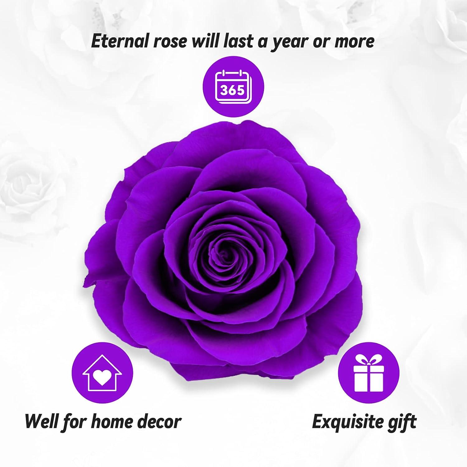 Ewige echte Rose I Love You Halskette in Geschenkbox für Frauen