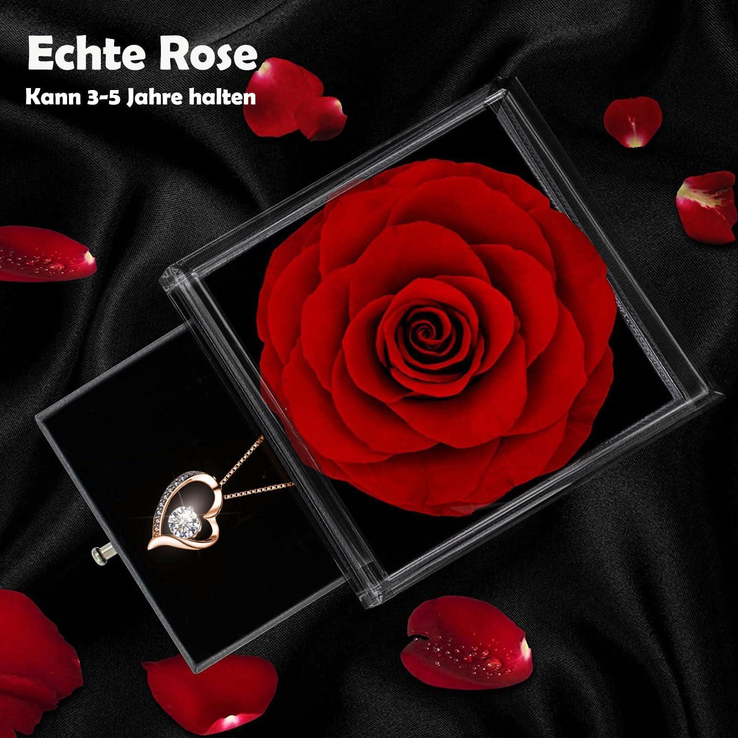 Ewige Rose Geschenkbox Rote Infinity Rosen 925 Silber Damen