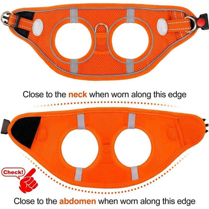 Hundegeschirr Air-Mesh atmungsaktiv reflektierend Orange M