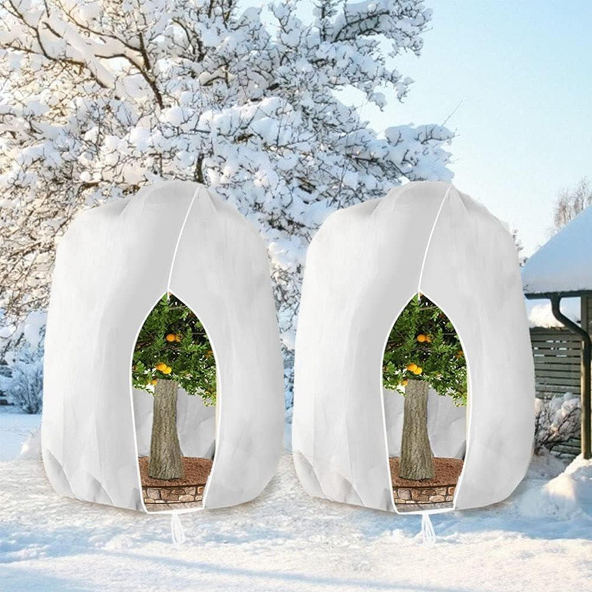 Winterschutz Pflanzenabdeckung 250x360cm - 2er Set