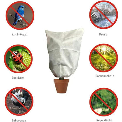 Winterschutz Pflanzenabdeckung 250x360cm - 3er Set