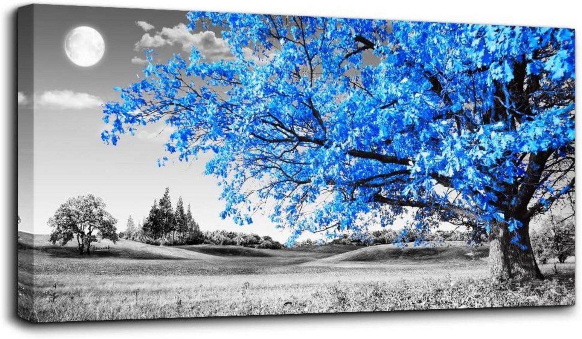 Moderne Leinwandbild Baum Natur Wanddeko 100x50cm