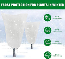 Wintervlies Pflanzenschutz 2er Set 80x120cm Frostschutz für