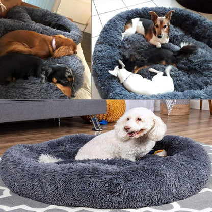 Orthopädisches Hundebett XXL – Waschbar & Kuschelig